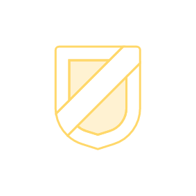 shield icon